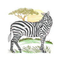 Sokoke Animals Sokoke Animals