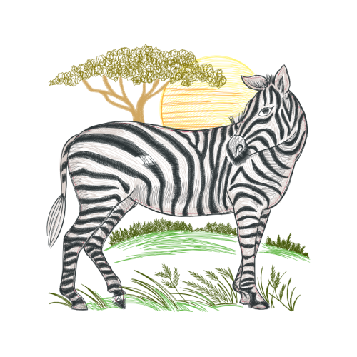 Sokoke Animals Sokoke Animals