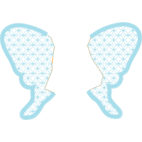 Solar Term Animals Solar Term Animals