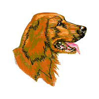 Spaniel Animals Spaniel Animals