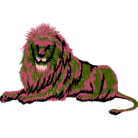 Spanish Water Dog Animals Spanish Water Dog Animals