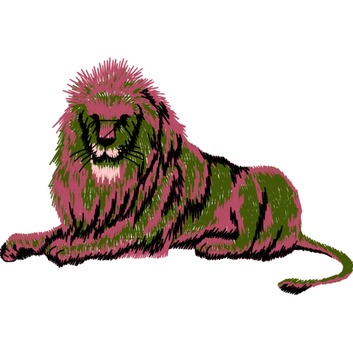 Spanish Water Dog Animals Spanish Water Dog Animals