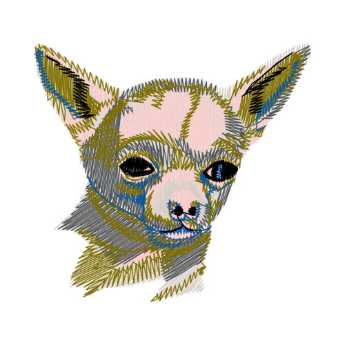 Sphynx Cat Animals Sphynx Cat Animals