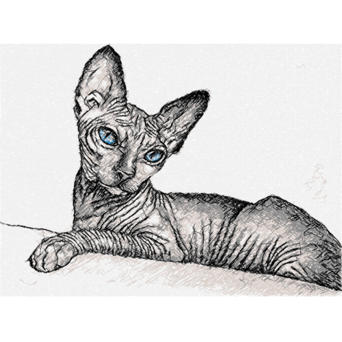 Sphynx Cat Animals Sphynx Cat Animals