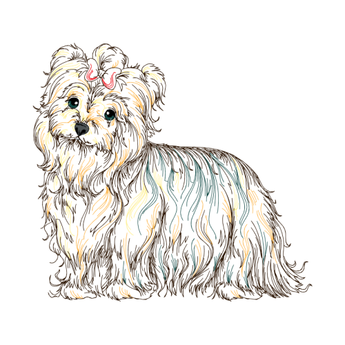 Sporting Lucas Terrier Animals Sporting Lucas Terrier Animals