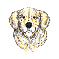 Sporting Lucas Terrier Animals Sporting Lucas Terrier Animals