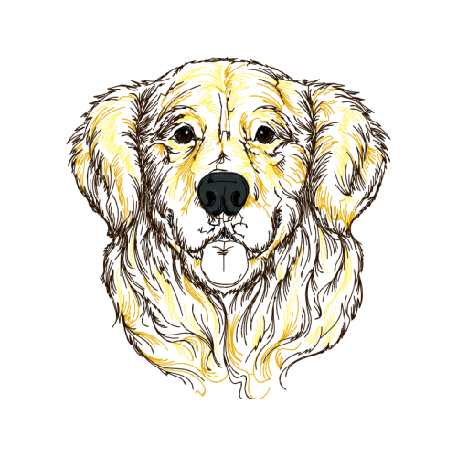 Sporting Lucas Terrier Animals Sporting Lucas Terrier Animals