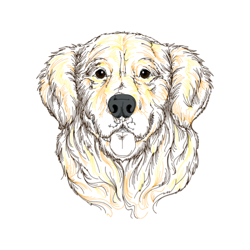 Sporting Lucas Terrier Animals Sporting Lucas Terrier Animals