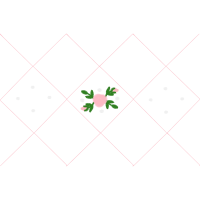 Square Animals Square Animals