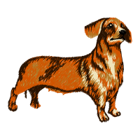 Staffordshire Bull Terrier Animals Staffordshire Bull Terrier Animals