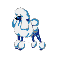 Standard Poodle Animals