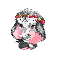 Standard Poodle Animals Standard Poodle Animals