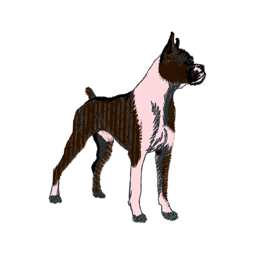 Standard Schnauzer Animals Standard Schnauzer Animals