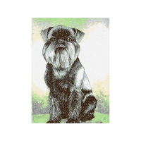 Standard Schnauzer Animals Standard Schnauzer Animals