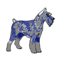 Standard Schnauzer Animals Standard Schnauzer Animals