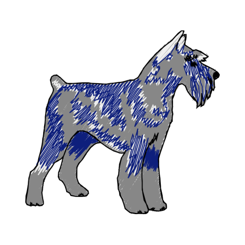 Standard Schnauzer Animals Standard Schnauzer Animals