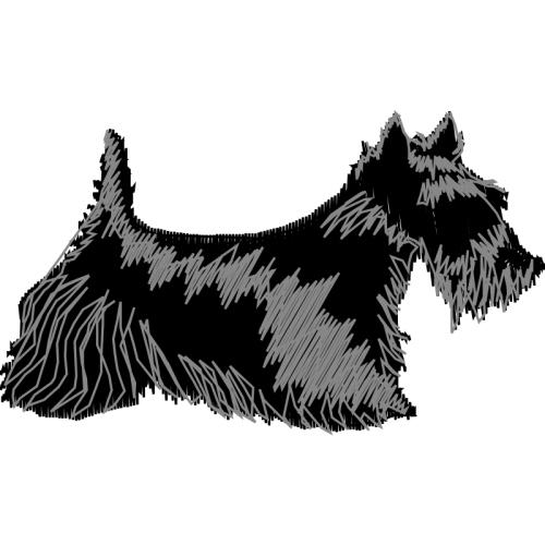 Standard Schnauzer Animals Standard Schnauzer Animals