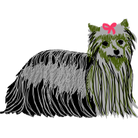 Standard Schnauzer Animals Standard Schnauzer Animals