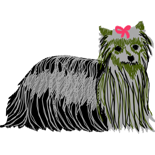 Standard Schnauzer Animals Standard Schnauzer Animals