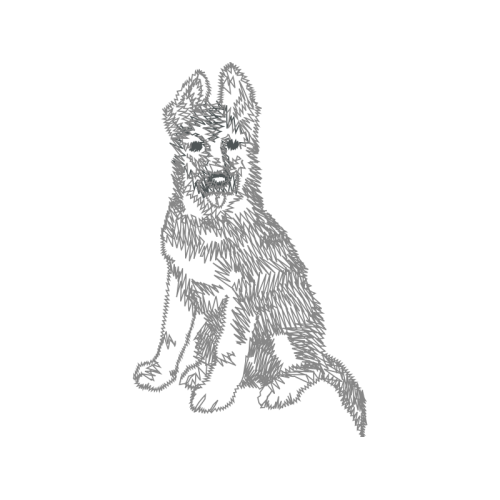 Standard Schnauzer Animals Standard Schnauzer Animals