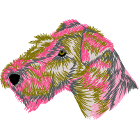 Standard Schnauzer Animals Standard Schnauzer Animals