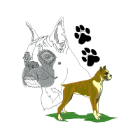 Standard Schnauzer Animals Standard Schnauzer Animals