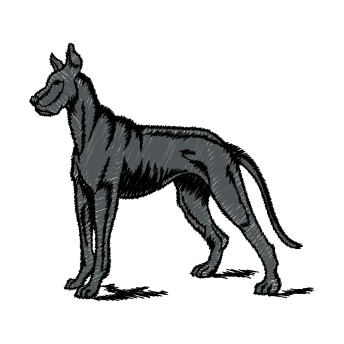 Standard Schnauzer Animals Standard Schnauzer Animals