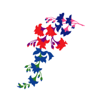 Swallowtails Animals Swallowtails Animals