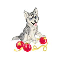 Swift Fox Animals Swift Fox Animals