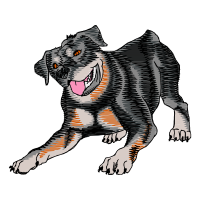 Tasmanian Devil Animals