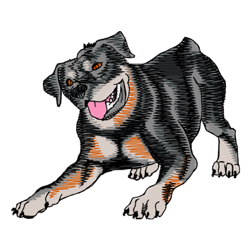 Tasmanian Devil Animals Tasmanian Devil Animals