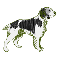 Tatra Shepherd Dog Animals