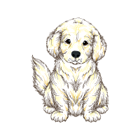 Tatra Shepherd Dog Animals