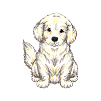 Tatra Shepherd Dog Animals