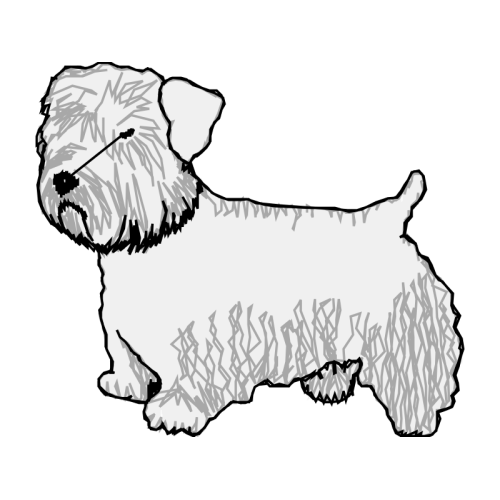 Terrier Animals Terrier Animals