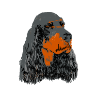 Tibetan Mastiff Animals