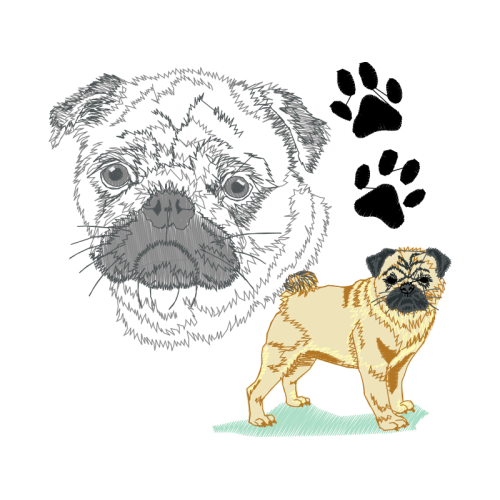 Tibetan Spaniel Animals Tibetan Spaniel Animals