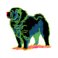 Tibetan Spaniel Animals Tibetan Spaniel Animals