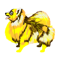 Tibetan Spaniel Animals Tibetan Spaniel Animals