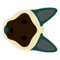 Tibetan Spaniel Animals Tibetan Spaniel Animals