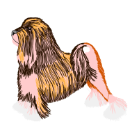 Tibetan Terrier Animals Tibetan Terrier Animals