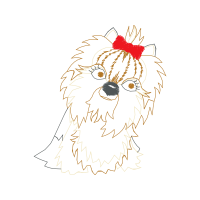 Tibetan Terrier Animals Tibetan Terrier Animals