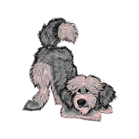Tibetan Terrier Animals Tibetan Terrier Animals