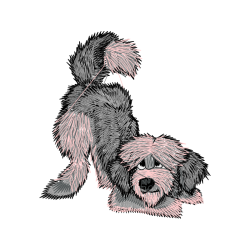 Tibetan Terrier Animals Tibetan Terrier Animals