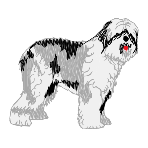 Tibetan Terrier Animals Tibetan Terrier Animals
