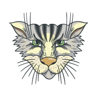 Tiger Animals Tiger Animals