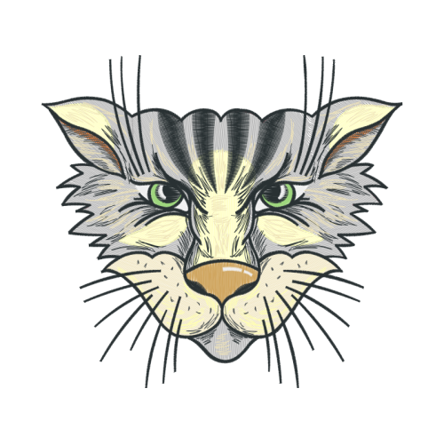 Tiger Animals Tiger Animals