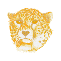 Tiger Animals Tiger Animals