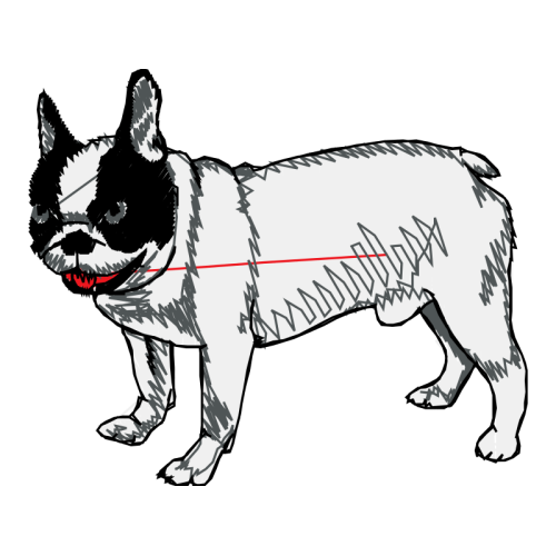 Toy Bulldog Animals Toy Bulldog Animals