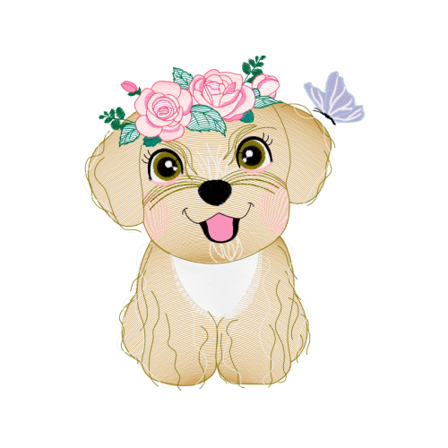 Toy Poodle Animals Toy Poodle Animals